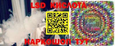 спайс Коммунар