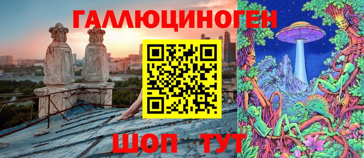 Галлюциногенные грибы Psilocybine cubensis Кашира